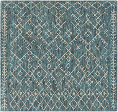 Rapelje aqua Area Rug