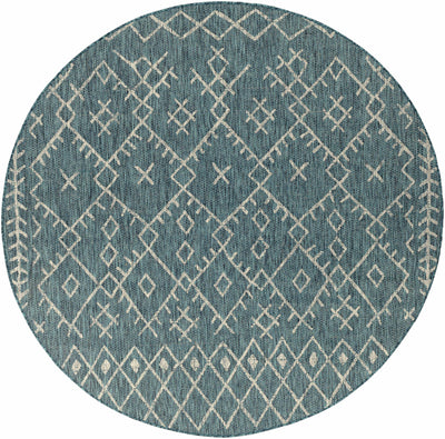 Rapelje aqua Area Rug