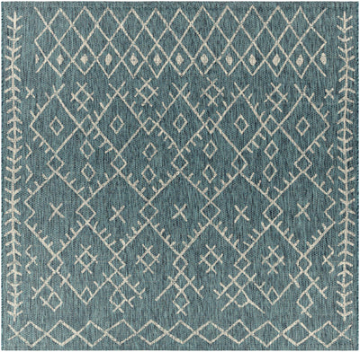 Rapelje aqua Area Rug