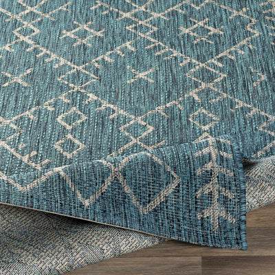 Rapelje aqua Area Rug