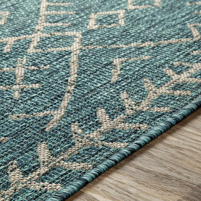 Rapelje aqua Area Rug