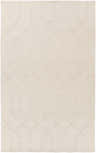 Beige Raritan Carpet close-up. Hand-knotted wool rug with a geometric diamond and striped pattern. Farmhouse style. Design-Rectangle