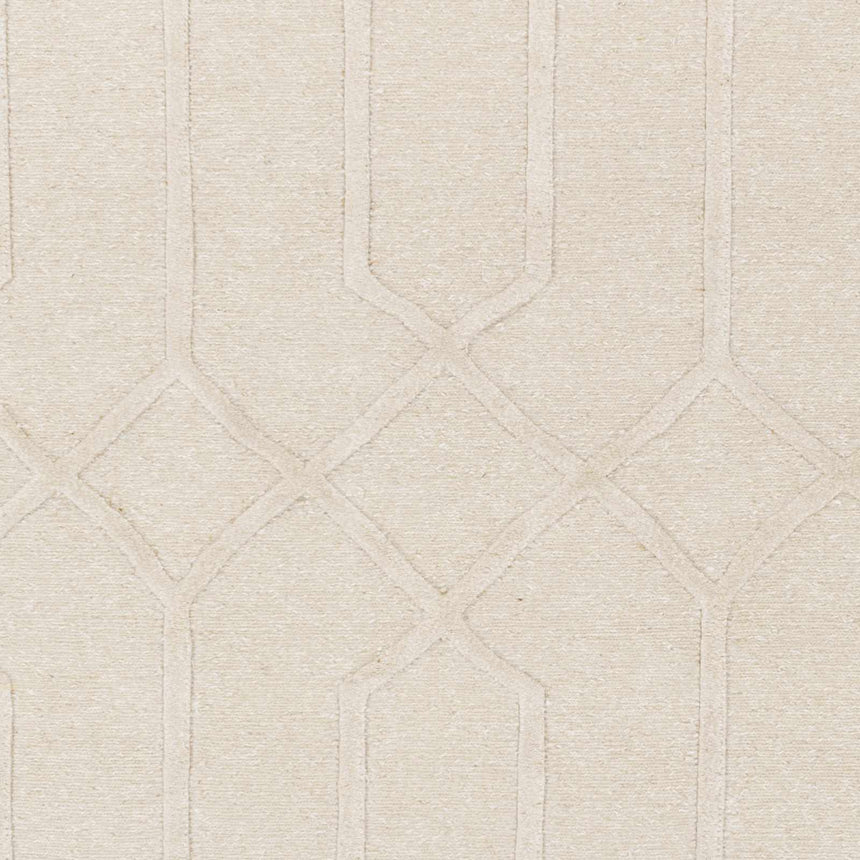 Raritan Carpet - Clearance