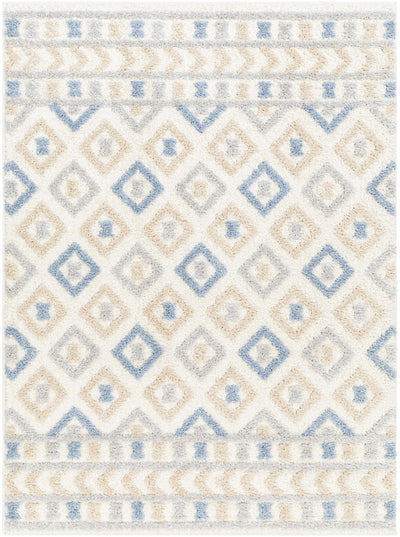 Eivin Pink & Blue Area Rug - Clearance