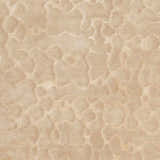 Close-up of the Renault Area Carpet. Beige and mustard tones with a subtle, organic pattern. Hand-knotted texture. Swatch