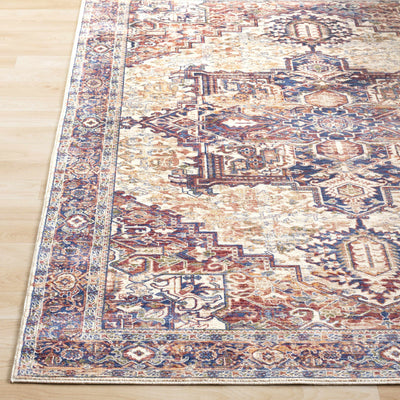 Riggins Area Rug - Clearance