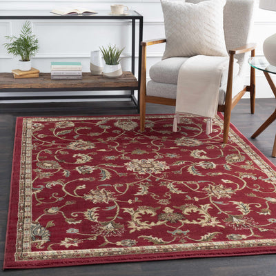 Stoneham Floral Red Area Carpet - Clearance
