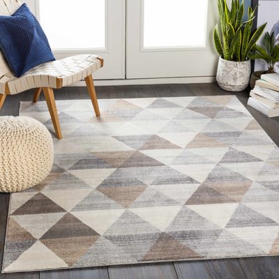 Sells Gray&Brown Triangles Area Carpet