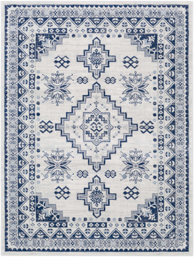 Ryton 9x12 White/Blue Traditional Area Rug - Clearance