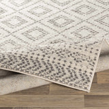 Romeoville Area Rug - Clearance