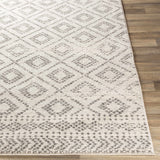 Romeoville Area Rug - Clearance