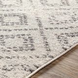 Romeoville Area Rug - Clearance