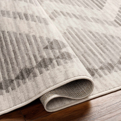 Rory Stripe Textured Area Rug - Limited Edition