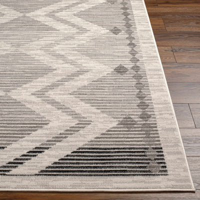 Rory Stripe Textured Area Rug - Limited Edition