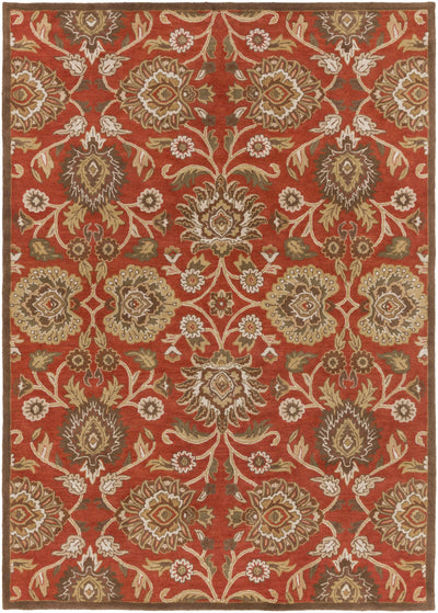 Conesus Hand Tufted Rust Carpet -  Clearance