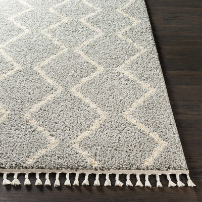 Royal Area Rug - Clearance