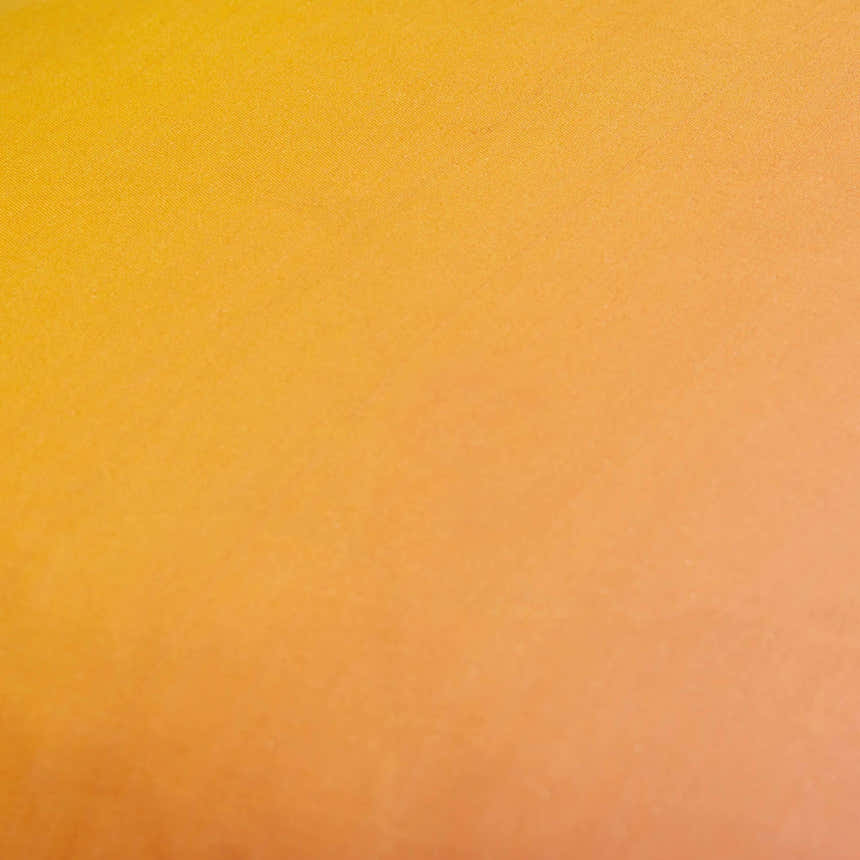 Rohit Mustard Throw Pillow