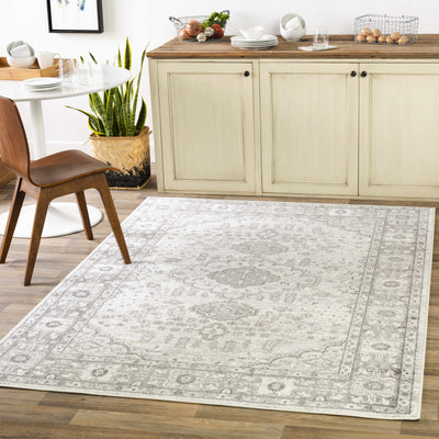 Rueter Area Rug - Clearance