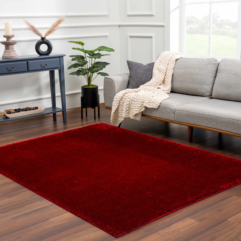 Heavenly Solid Red Plush Rug - Clearance – Boutique Rugs