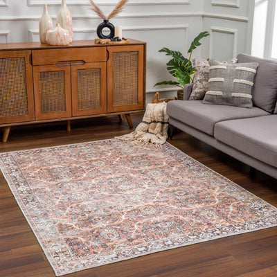 Bian Washable Distressed Rug - Limited Edition