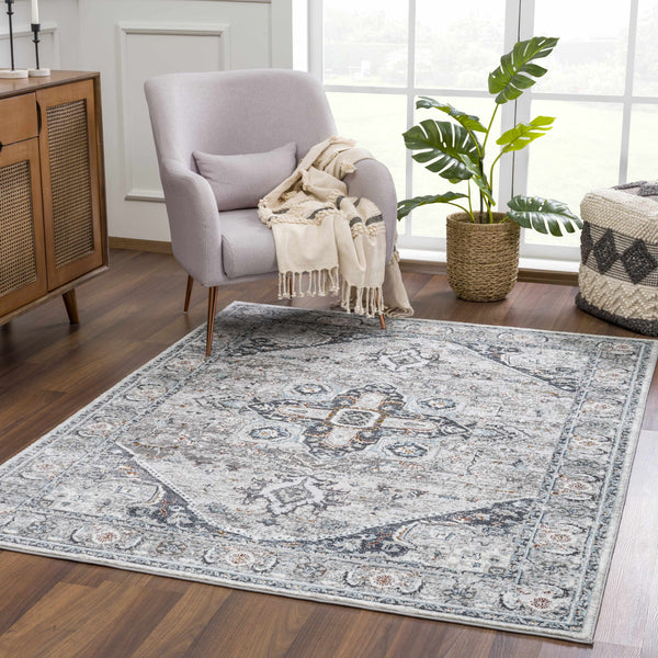 Liverpool Gray & Blue Area Rug - Clearance