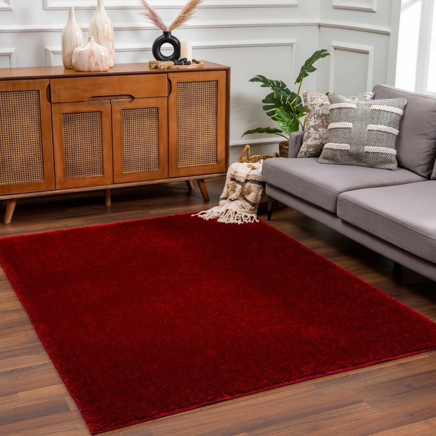 Heavenly Solid Red Plush Rug - Clearance – Boutique Rugs
