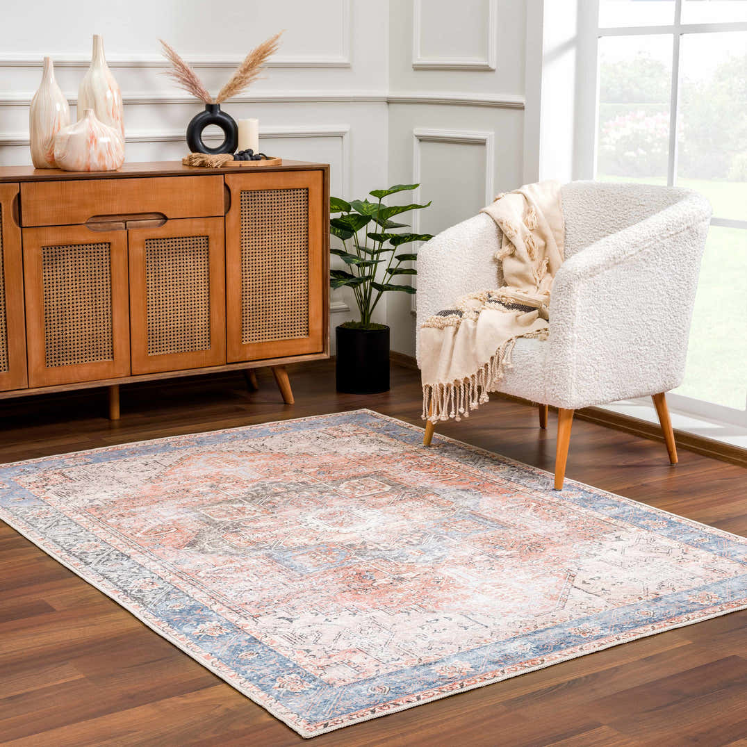 Rosman Distressed Washable Area Rug – Boutique Rugs