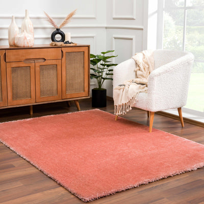 Heavenly Solid Pink Plush Rug - Clearance