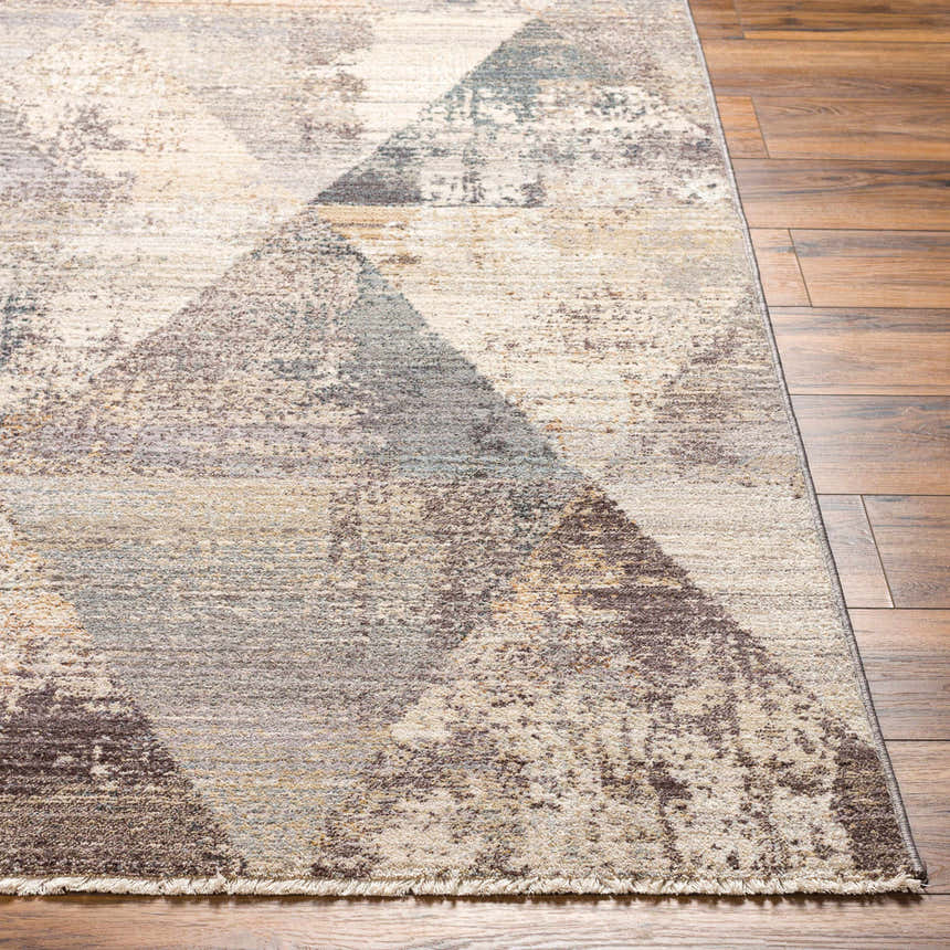 Close-up of the Birdy Area Rug showcasing its beige, brown, and gray geometric pattern and soft, textured weave on wood floor. Front