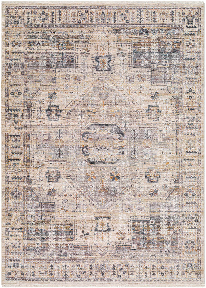 Detailed Iiona Area Rug - Clearance with traditional brown, gray, and taupe farmhouse pattern and fringe. Design-Rectangle-579