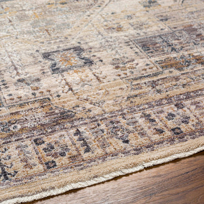 Iiona Area Rug