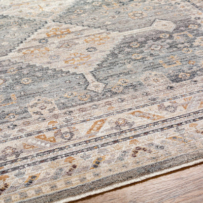 Lyam Area Rug