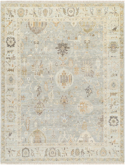 Jamil Area Rug