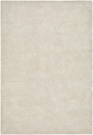 Gray Hawa Area Rug