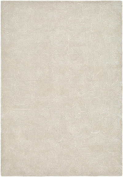 Gray Hawa Area Rug