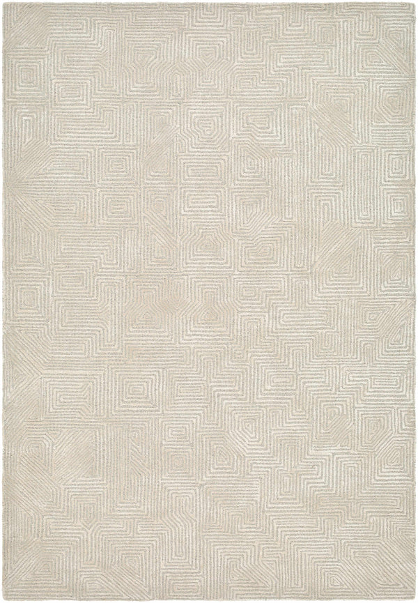 Gray Hawa Area Rug