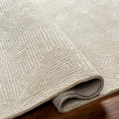 Gray Hawa Area Rug