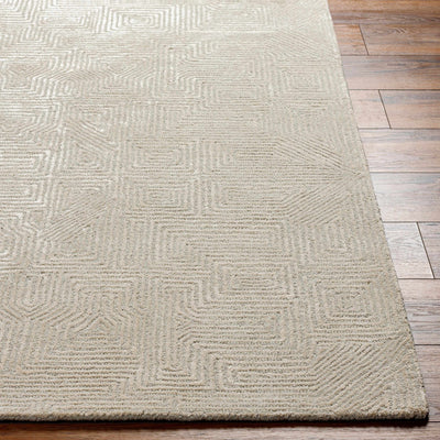 Gray Hawa Area Rug