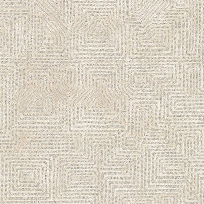 Gray Hawa Area Rug