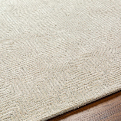 Gray Hawa Area Rug