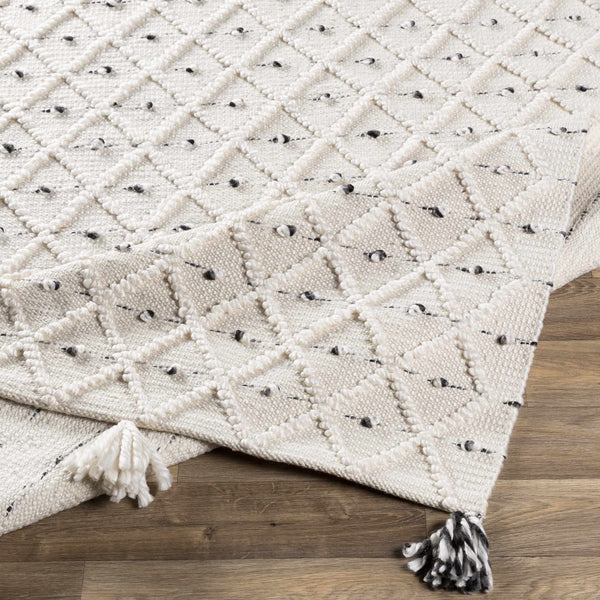 Sadleir Flatweave Performance Rug