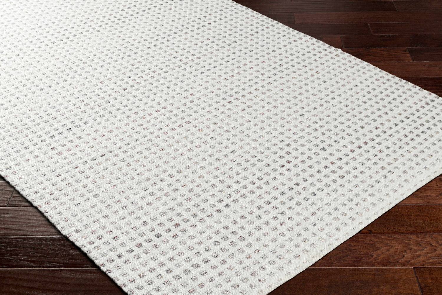 Close-up of the Bence Cream & Gray Area Rug showing its woven texture and subtle dotted pattern on dark wood floors. Corner