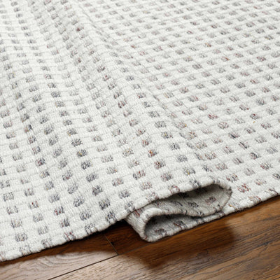 Bence Cream & Gray Area Rug