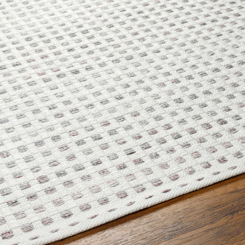 Close-up of the Bence Cream & Gray Area Rug showing its woven texture and subtle geometric dot pattern. Texture