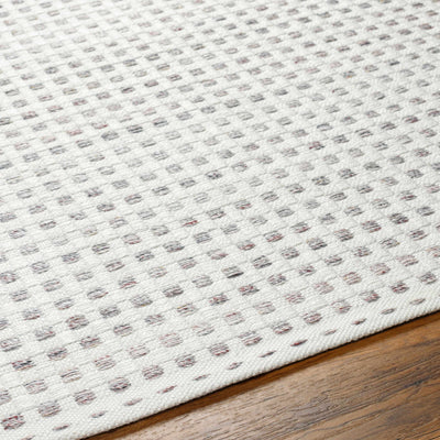 Bence Cream & Gray Area Rug