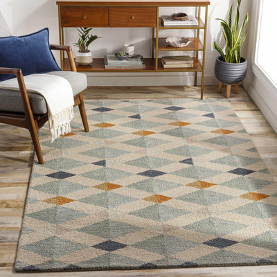 Salay Area Rug