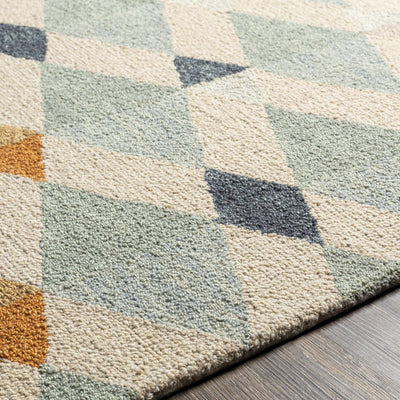 Salay Area Rug