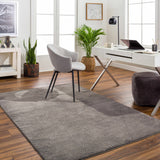 Aldis Charcoal Textured Plush Washable Small Rug  - Clearance
