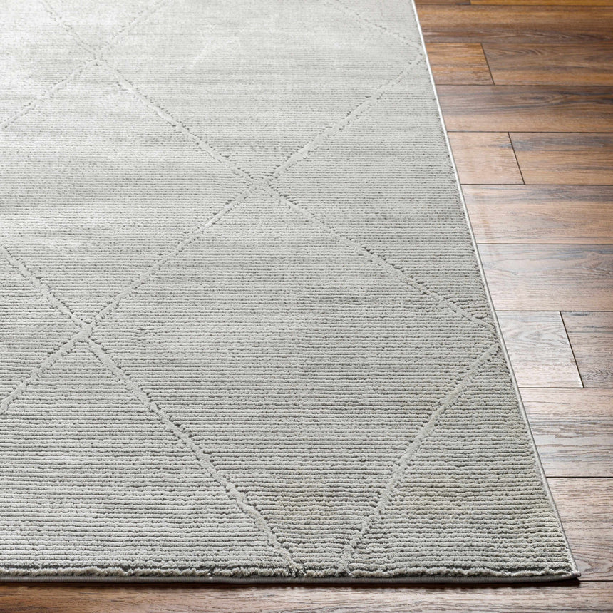 Aldis Grey Plush Textured Washable Rug  - Clearance