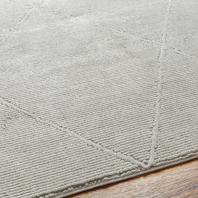 Grey Aldis Washable Area Rug